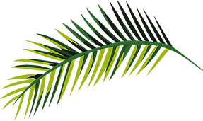 Tropical Leaf  -min